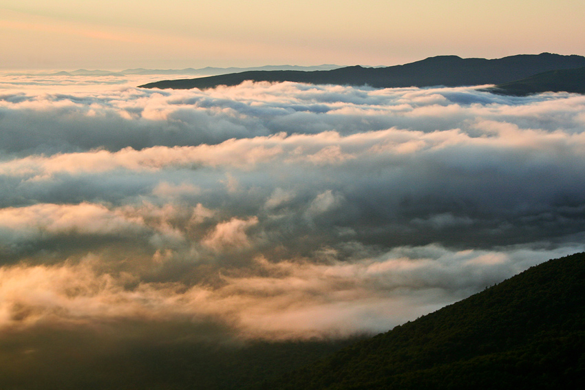 20110629BiesyWeb_088