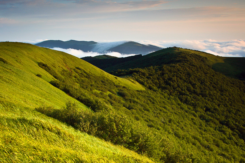 20110629BiesyWeb_091